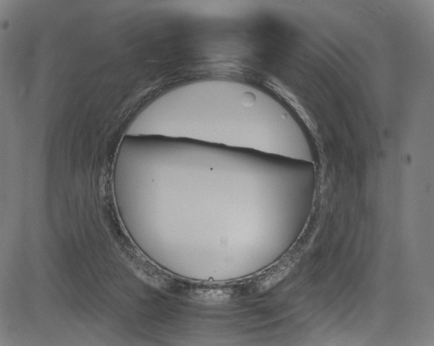 X0000085250161200703090956