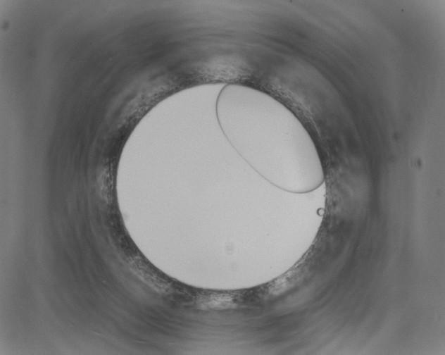 X0000085250162200703090956