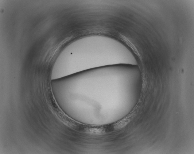 X0000085250163200703090956