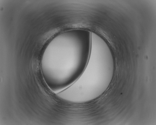 X0000085250164200703090956