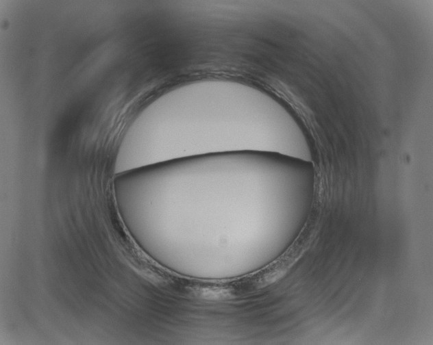 X0000085250165200703090956