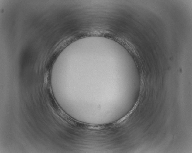 X0000085250166200703090956