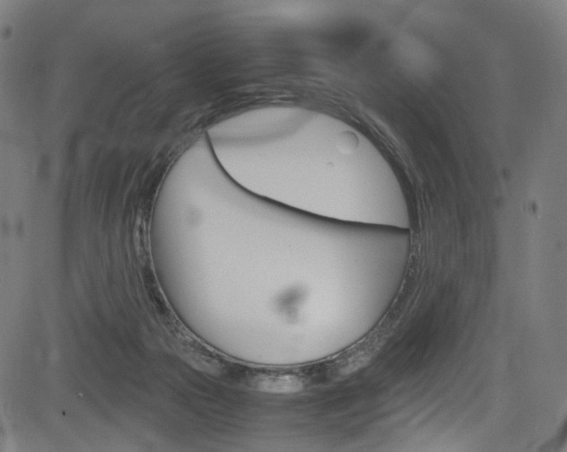 X0000085250169200703090957