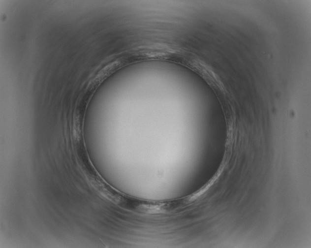 X0000085250170200703090957