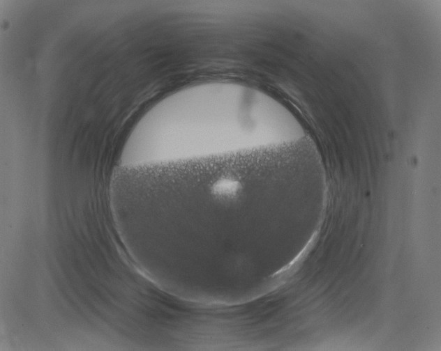 X0000085250171200703090957