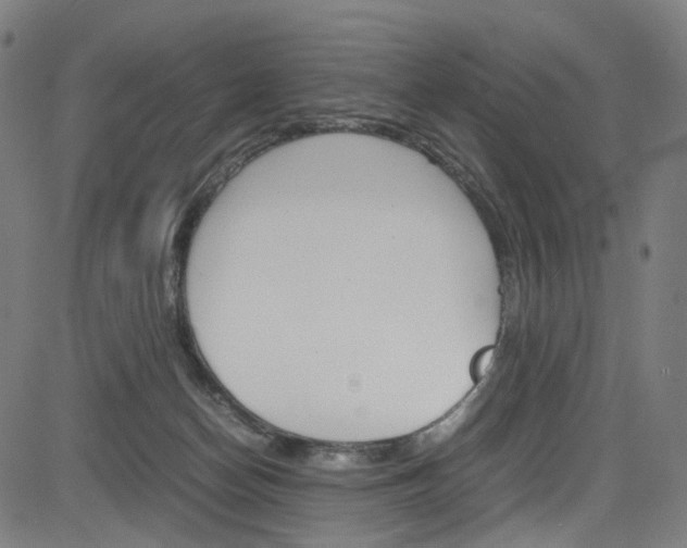 X0000085250174200703090957