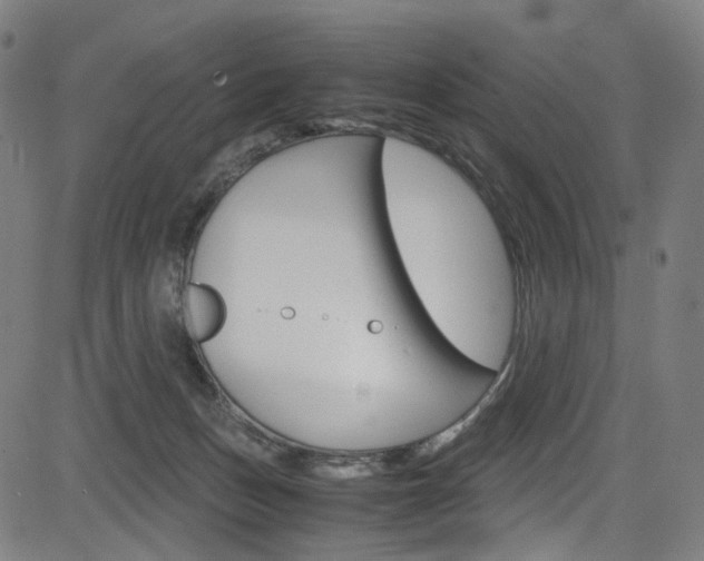 X0000085250175200703090957