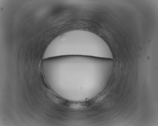 X0000085250177200703090957