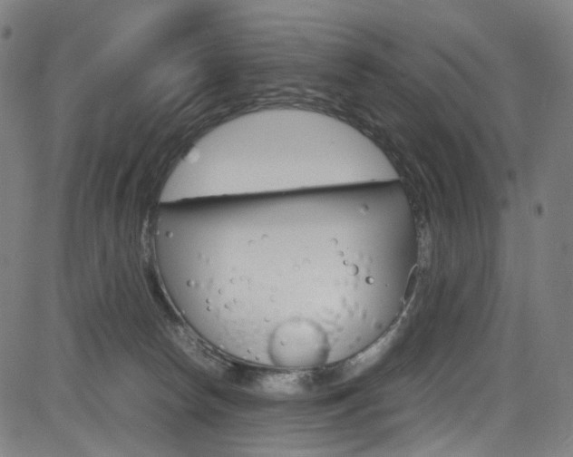 X0000085250178200703090957