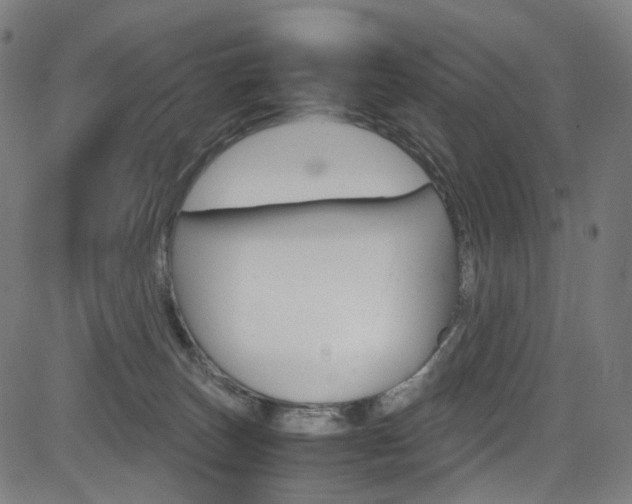 X0000085250179200703090957