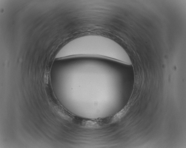 X0000085250180200703090957