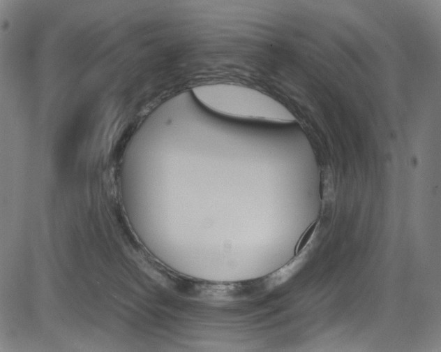 X0000085250182200703090957