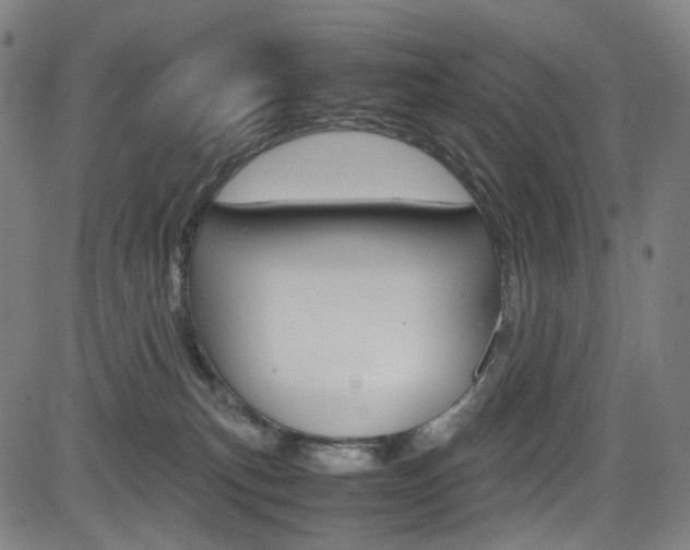 X0000085250183200703090957