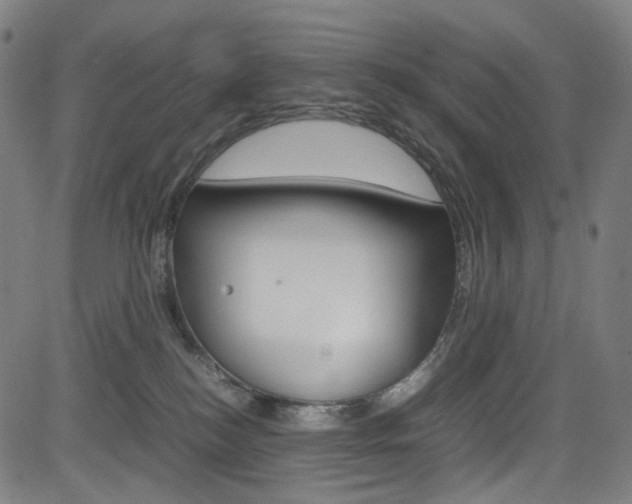 X0000085250184200703090957