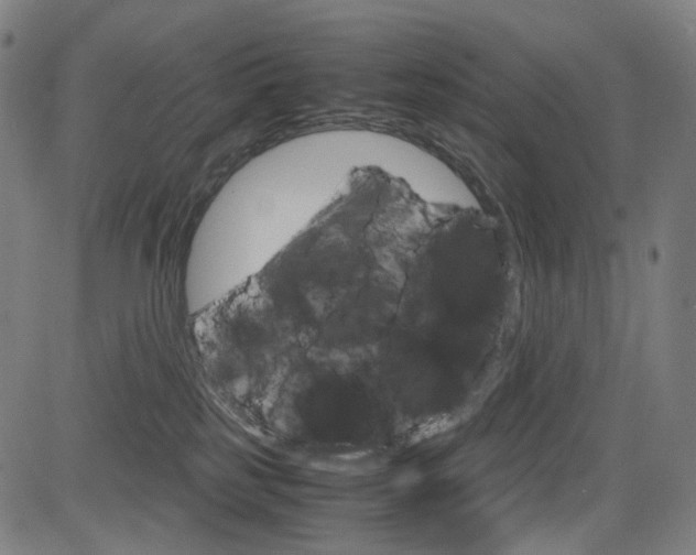 X0000085250185200703090957