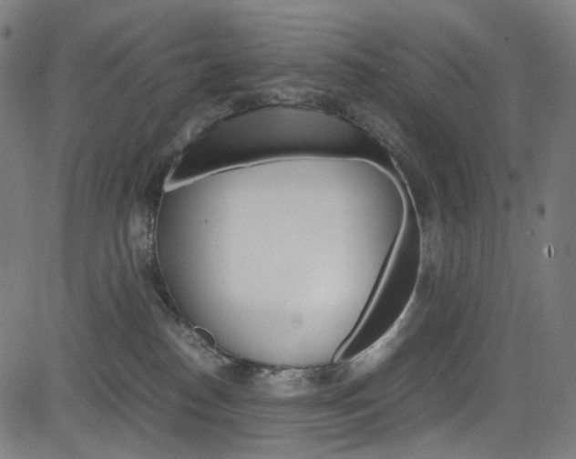 X0000085250186200703090957