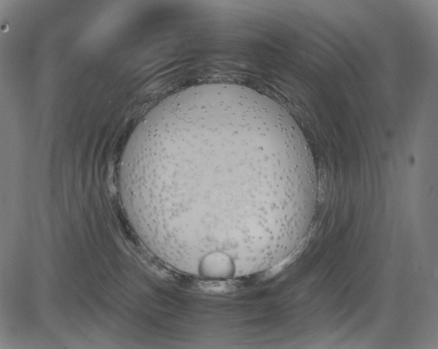 X0000085250187200703090957