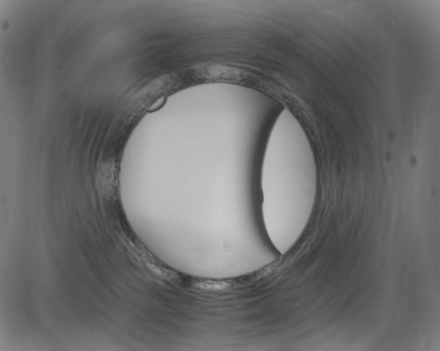 X0000085250189200703090957