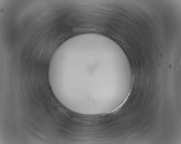 X0000085250190200703090957