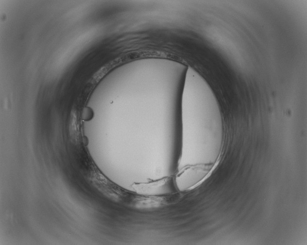 X0000085250191200703090957