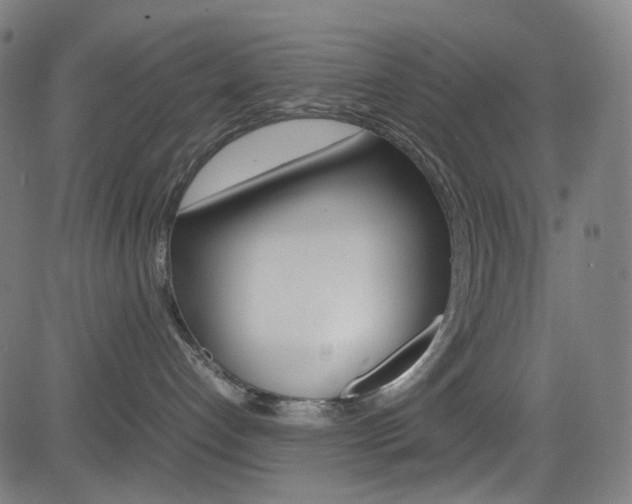 X0000085250192200703090957