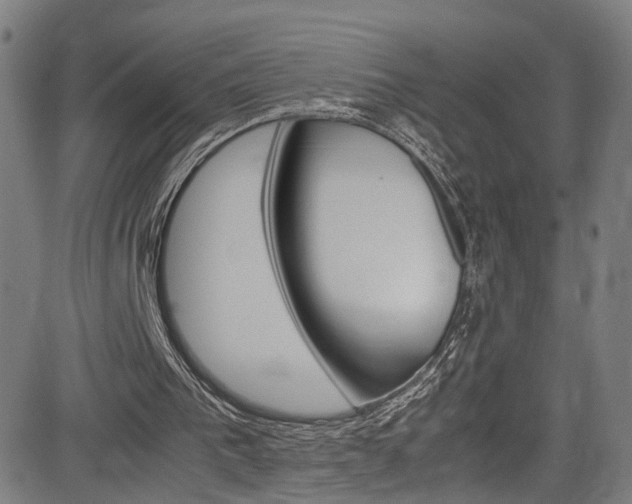 X0000085250193200703090956