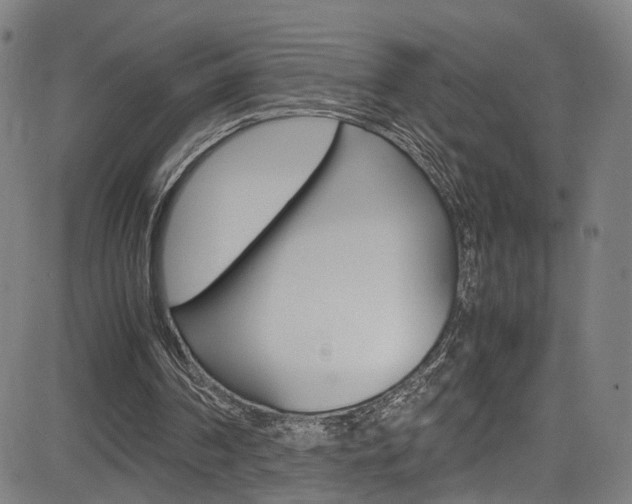 X0000085250194200703090956