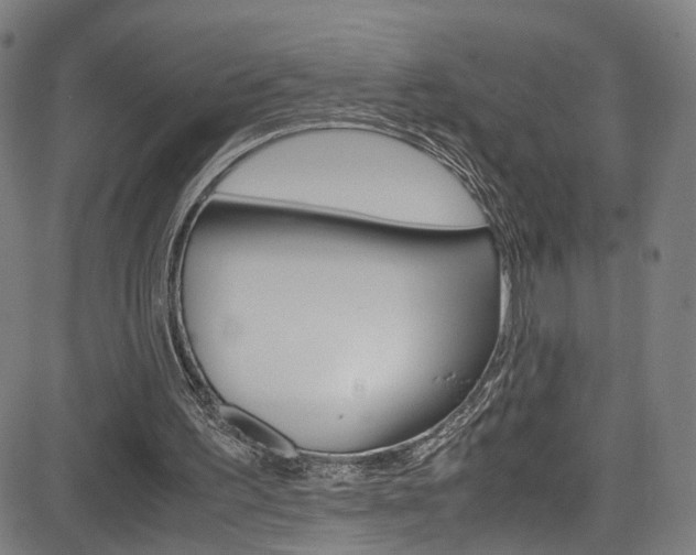 X0000085250195200703090956