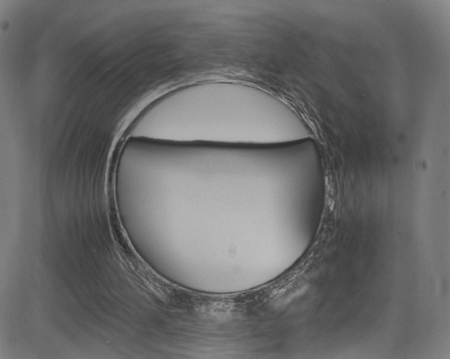 X0000085250196200703090956