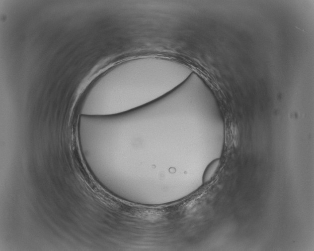 X0000085250198200703090956