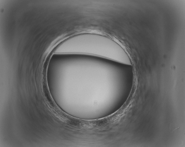 X0000085250199200703090956