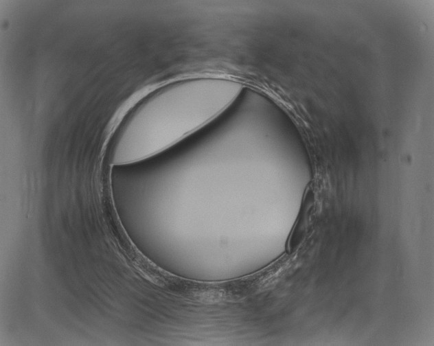 X0000085250200200703090956