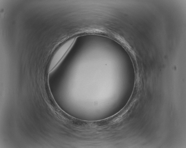 X0000085250201200703090956