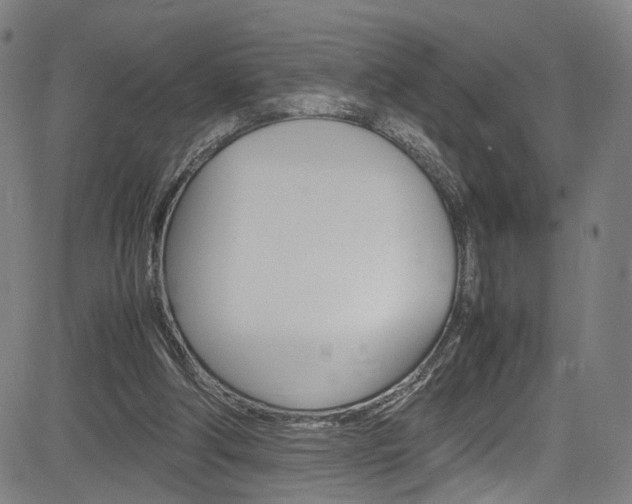 X0000085250202200703090956