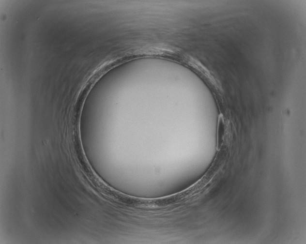 X0000085250203200703090956