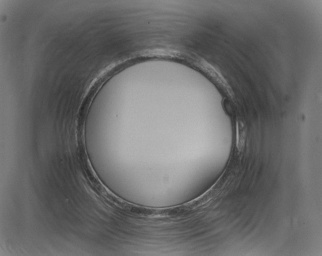 X0000085250204200703090956