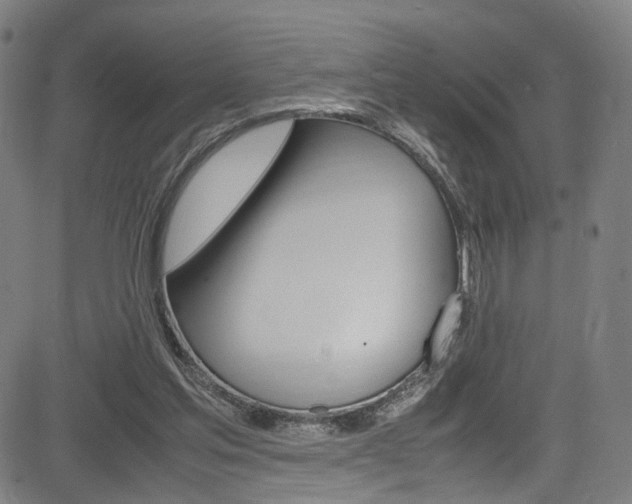 X0000085250205200703090956