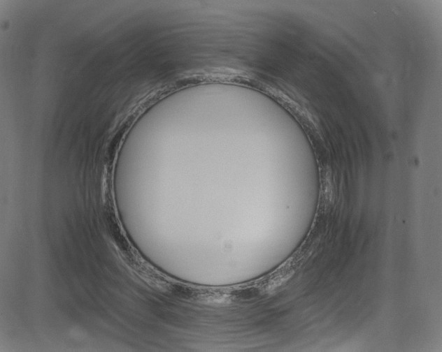 X0000085250206200703090956