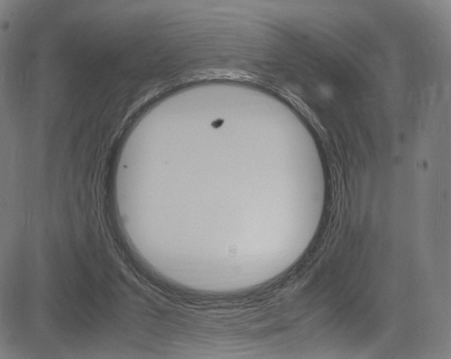 X0000085250207200703090956