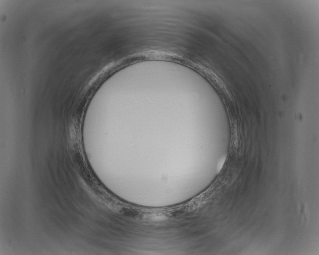 X0000085250208200703090956