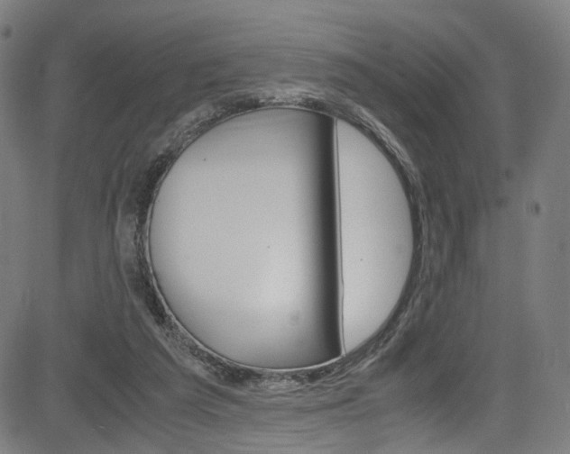 X0000085250209200703090956