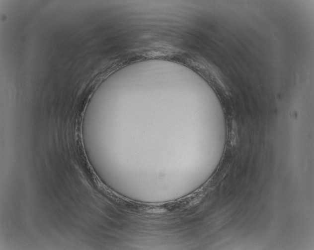 X0000085250210200703090956