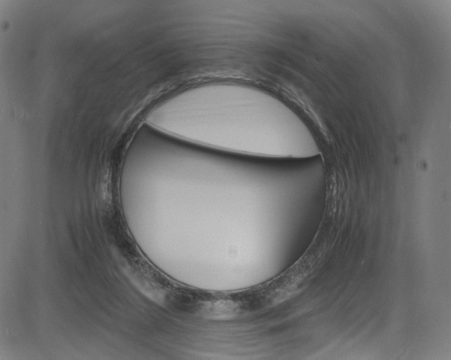 X0000085250212200703090956