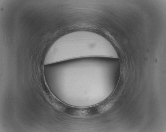 X0000085250213200703090956