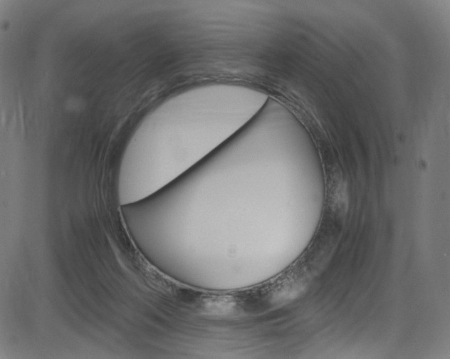 X0000085250214200703090956