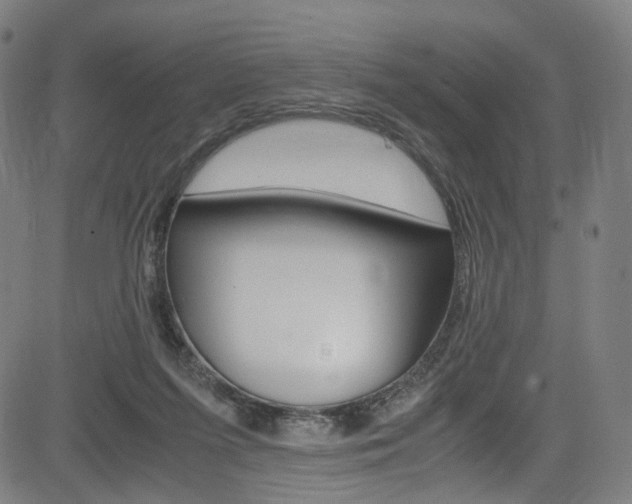 X0000085250215200703090956