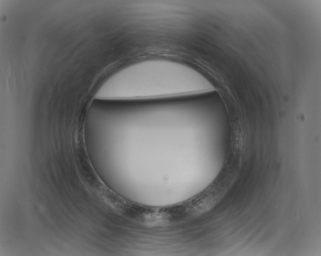 X0000085250216200703090956