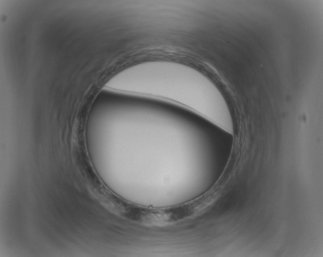 X0000085250217200703090956