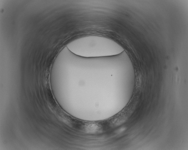 X0000085250218200703090956