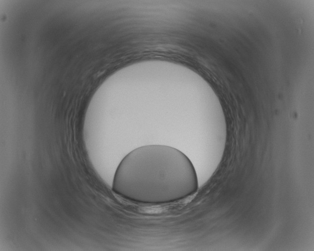 X0000085250219200703090956